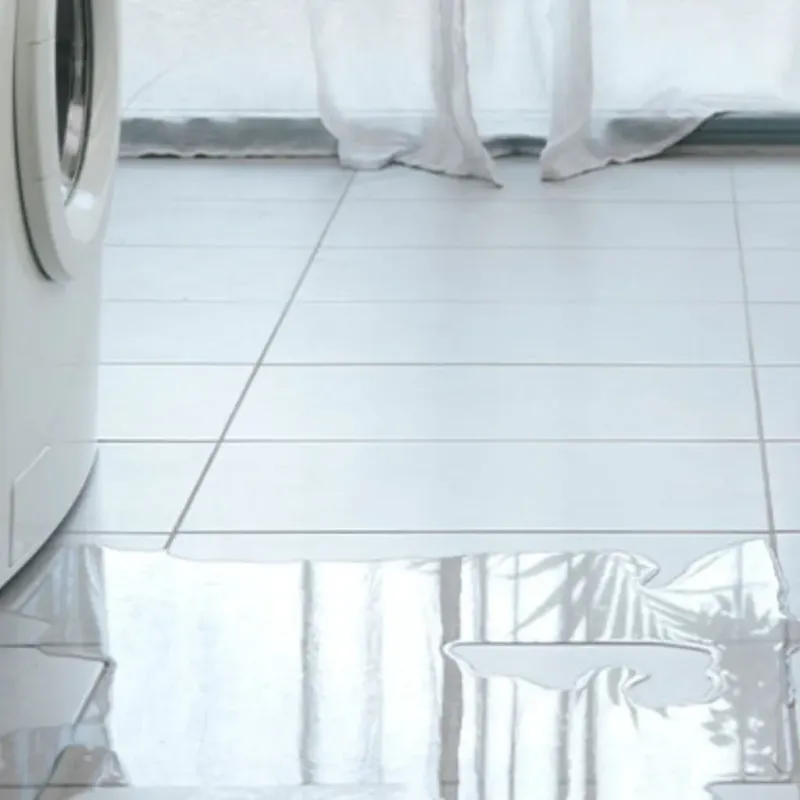 Appliance Leak Cleanup in Plantation Mobile Home Park, FL