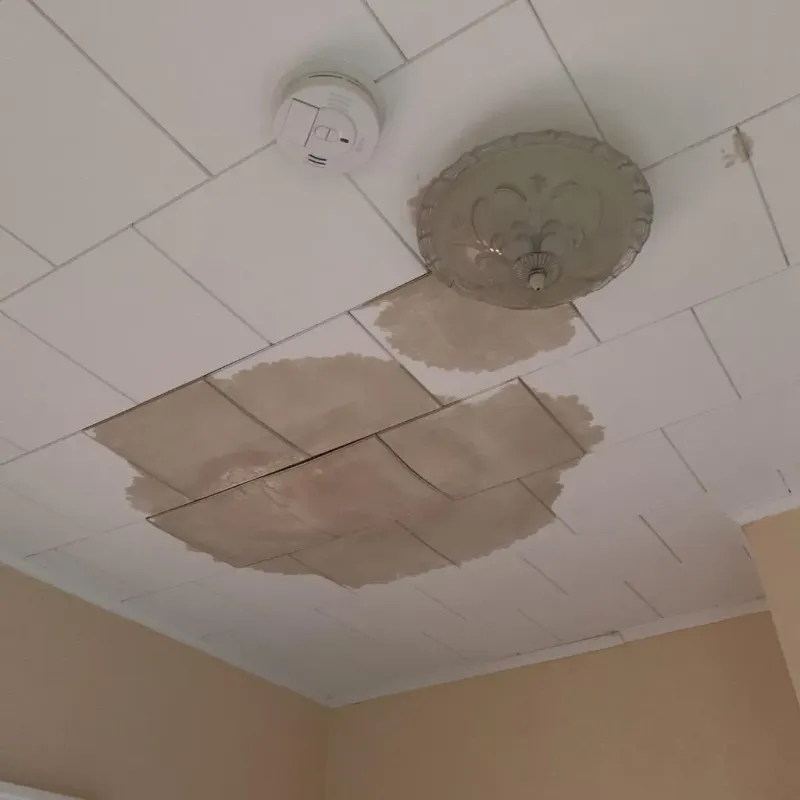 Ceiling Water Damage Repair in Plantation Mobile Home Park, FL
