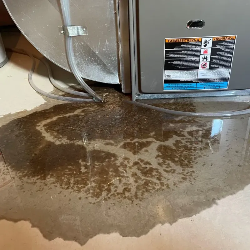 Pipe Burst and Leak Restoration in Plantation Mobile Home Park, FL