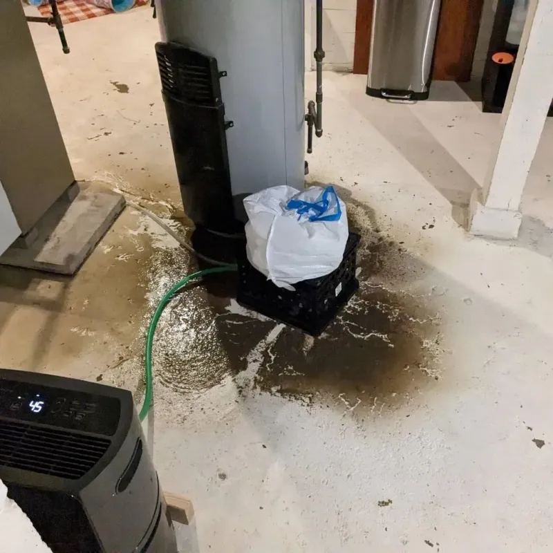 Sewage Backup Cleanup Service in Plantation Mobile Home Park, FL